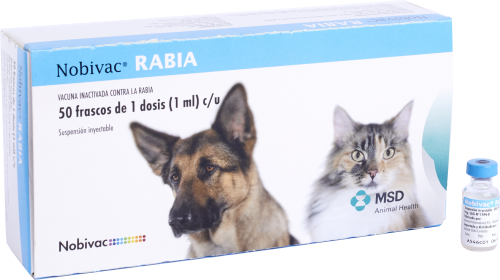 RABIA MSD Salud Animal Chile