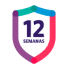 12 semanas