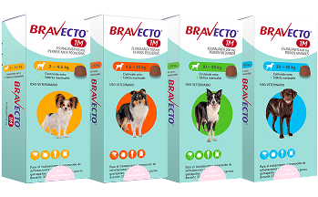 Bravecto® 1M