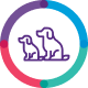 cachorros de 8 semanas y con apenas 1.6 kg