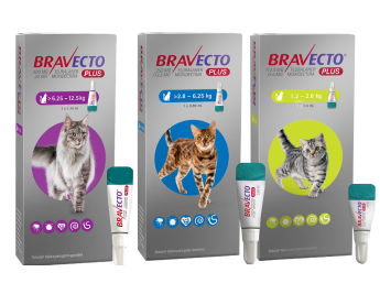 Bravecto® Plus (pipetas)