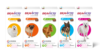 Bravecto®