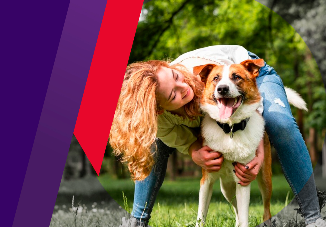 Bravecto®, el tratamiento
que tus pacientes necesitan.