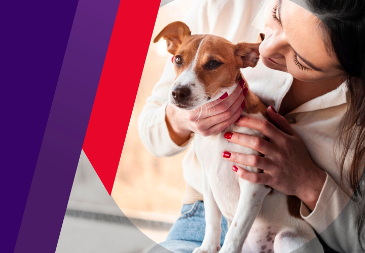 Previene, cura y cuida con Bravecto®