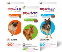 Bravecto®