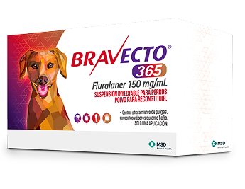 Bravecto® 365