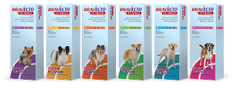 Bravecto® 1M Triple