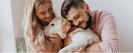 Destacado para dueños de mascotas