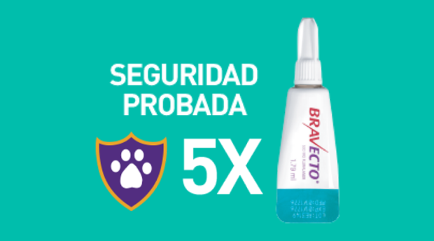 Seguridad probada.
