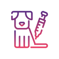 Perros que reciben tratamiento con medicamentos veterinarios comúnmente utilizados, incluido
el antiinflamatorio no esteroide carprofeno