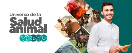 Conoce Universo de la salud animal